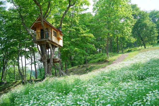 小屋