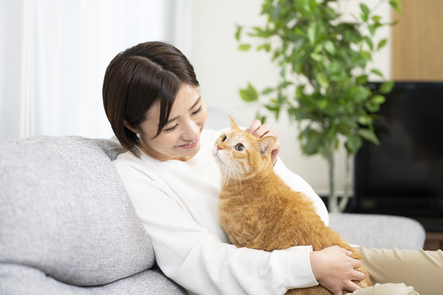 猫と女性