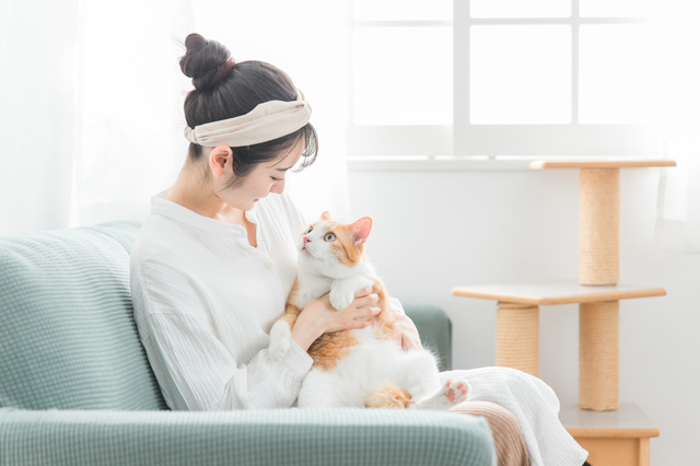 猫と女性